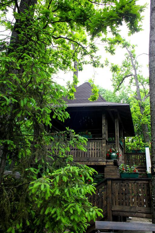 Cornul Vanatorului Bungalows Piteşti Buitenkant foto
