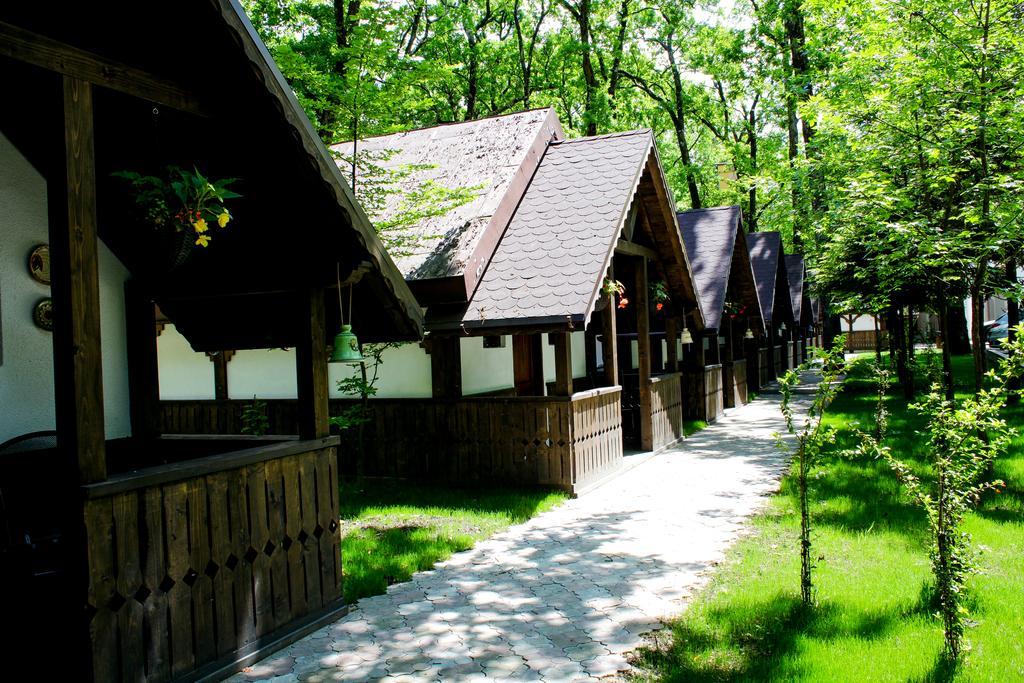 Cornul Vanatorului Bungalows Piteşti Buitenkant foto