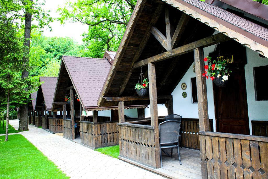 Cornul Vanatorului Bungalows Piteşti Buitenkant foto