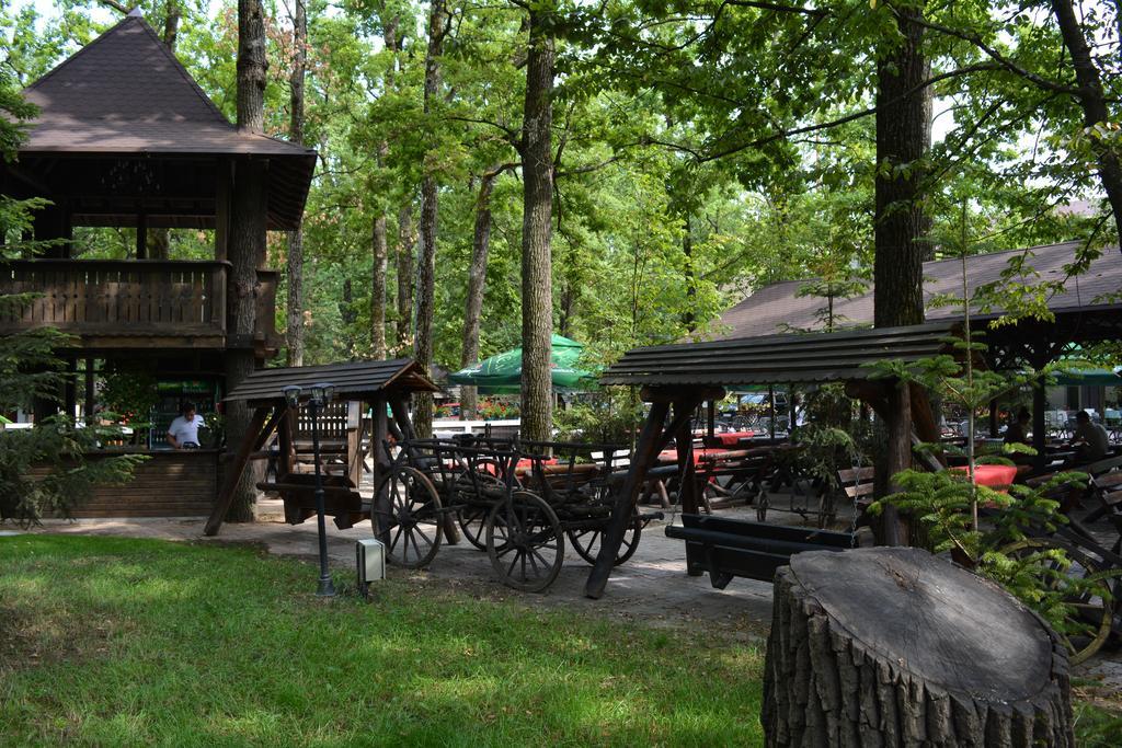 Cornul Vanatorului Bungalows Piteşti Buitenkant foto
