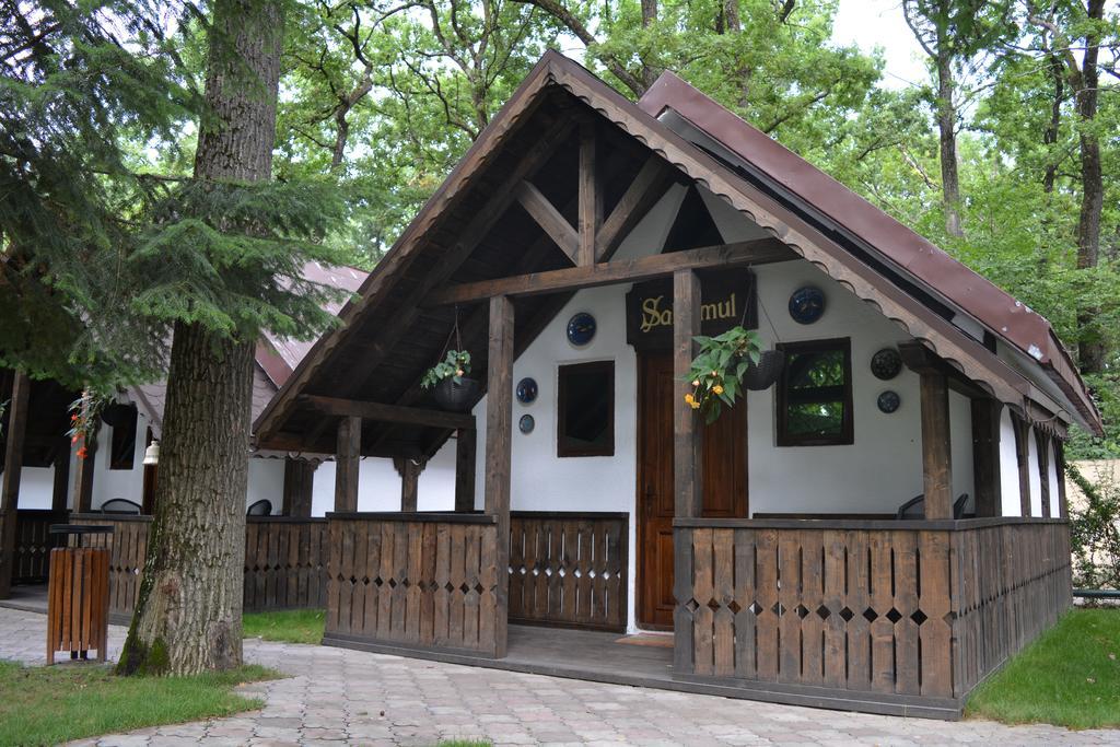 Cornul Vanatorului Bungalows Piteşti Buitenkant foto
