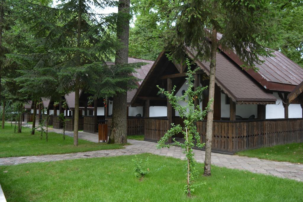 Cornul Vanatorului Bungalows Piteşti Buitenkant foto