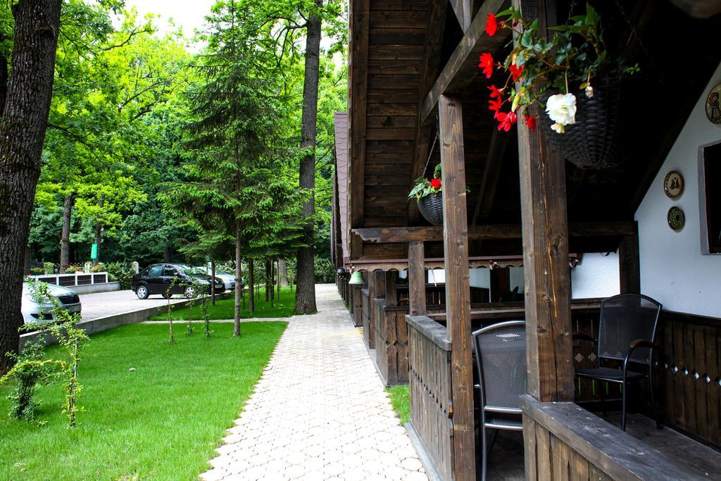 Cornul Vanatorului Bungalows Piteşti Buitenkant foto