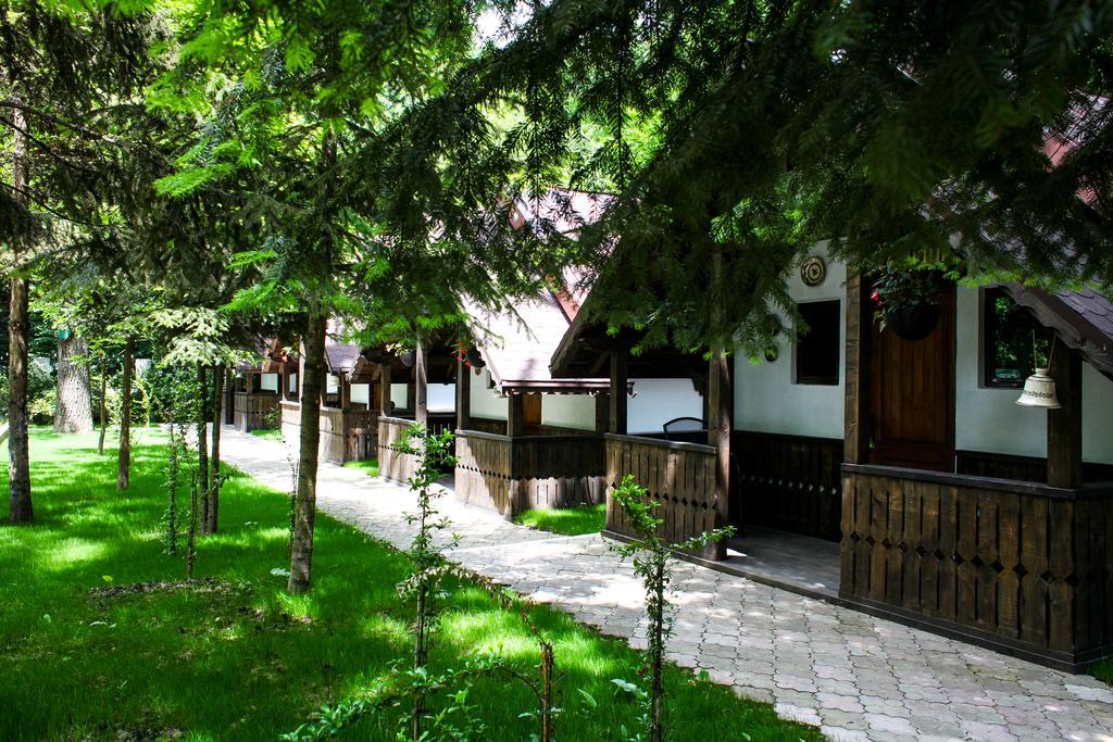 Cornul Vanatorului Bungalows Piteşti Buitenkant foto