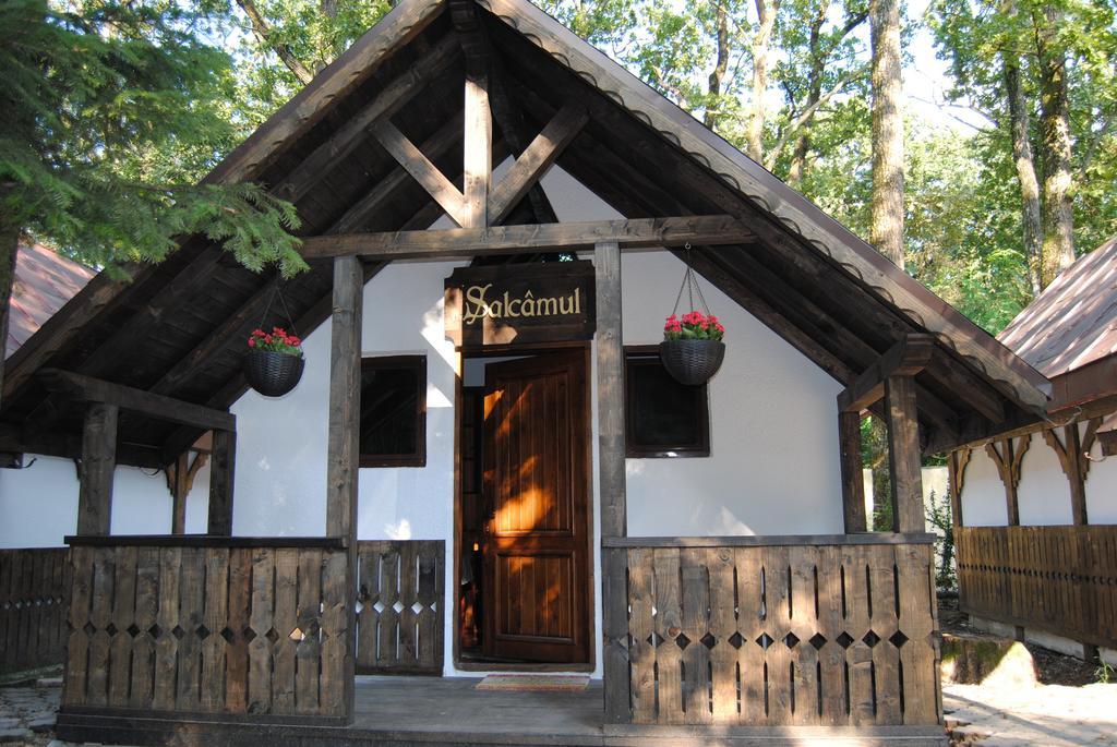 Cornul Vanatorului Bungalows Piteşti Kamer foto